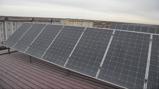 «Зеленое» будущее Узбекистана