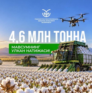 В Узбекистане собрали 4,63 млн тонн хлопка - план выполнен на 103%