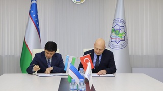 Түркия мен Қытай компаниялары Өзбекстанда жоғары кернеулі электр тарату желілерін салады