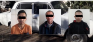 O'rta Chirchiqda jinoiy guruhning bir yo'la 12 jinoyati fosh etildi