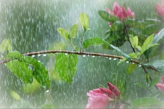 Байрам куни айрим жойларда ёмғир ёғиши мумкин