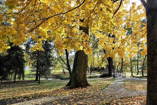 Прогноз погоды на 27 ноября