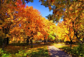 Прогноз погоды на 24 ноября