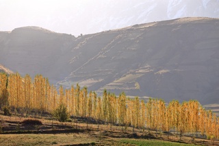 Havo biroz bulutli boʻladi, baʼzi joylarda oʻzgarib turadi, yogʻingarchilik kutilmaydi — Oʻzgidromet