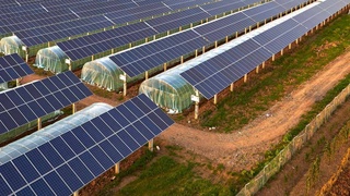 Агроэлектрический солнечный парк