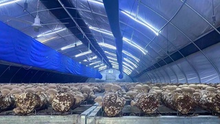 Қарши тумани делегацияси Хитойда