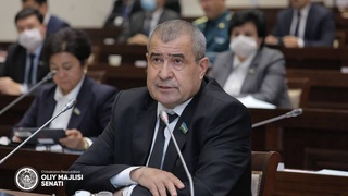 Сенаторы пересмотрят Закон «О социальном предпринимательстве»