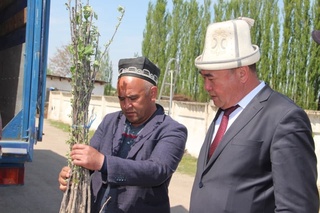 Қирғизистонликларга 10 минг дона мевали кўчатлар беғараз ёрдам сифатида топширилди
