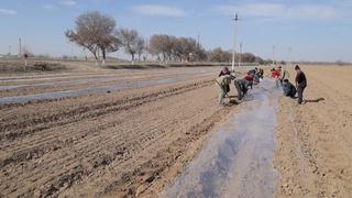 Dala chetlaridagi yerlarda mahsulot yetishtirish tizimi takomillashtiriladi