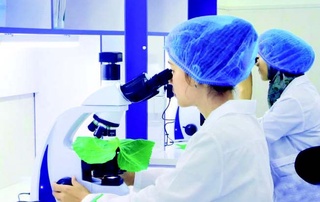 “Shaffof idish ichida”gi daromad