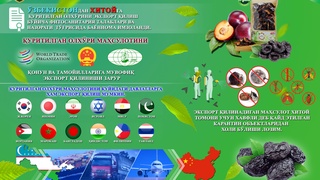 Қуритилган олхўри энди Хитойга ҳам экспорт қилинади