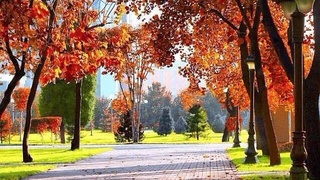 Узбекистанцев ждет теплая неделя до 21 градуса тепла