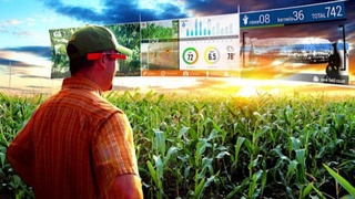 Аўыл хожалығы саласында санлы технологиялар енгизиледи