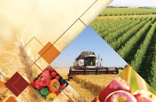 Производителям сельхозпродукции возместят часть расходов