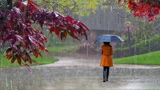 4-ноябрь күнги ҳаўа райы болжаўы