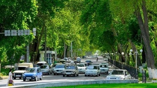 Самарқанд бинобар барномаи БАТР дар Ӯзбекистон аввалин шаҳри "сабз" гардид