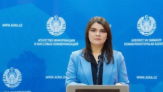 Основные аспекты работы Омбудсмана по работе с обращениями