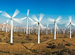 Шамоллар жиловин тутганда...