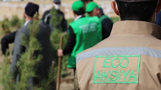 На тысячу деревьев больше