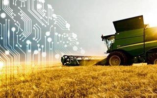 При Национальном центре знаний и инноваций в сельском хозяйстве созданы НИИ