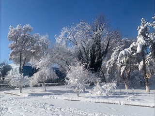Пешгӯии обу ҳаво барои 12 январ