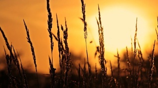 Жара приотпустит?