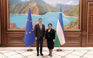 A meeting with the delegation of the European Parliament took place in the Senate