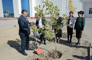 Нарзулло Обломуродов Мўйноқ Экология музейи ҳовлисига кўчат ўтқазди