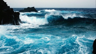 The world's oceans have warmed up to record temperatures