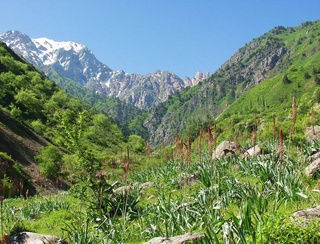 Пешгӯии обу ҳаво барои 12 август