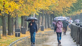 Прогноз погоды на 22 ноября