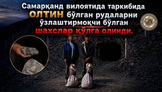В Самаркандской области задержаны лица за незаконную добычу золотосодержащей руды