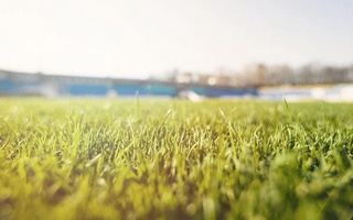 Дважды в одну реку не войти, или Об осторожном оптимизме