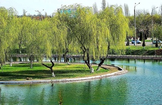 В выходные дни в Узбекистане ожидается теплая погода до +29 градусов, местами возможны кратковременные дожди и грозы