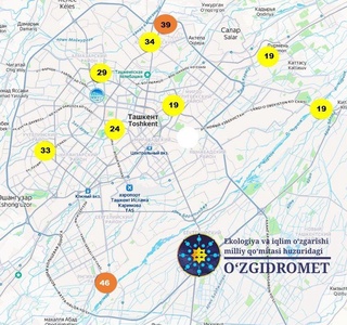 Bugun yomgʻir sabab Toshkentda havo musaffolashdi