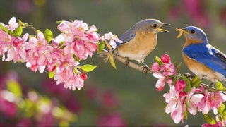 Пешгӯии обу ҳаво барои 16 март