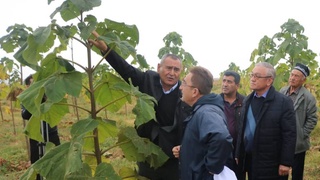 Пилотный проект оправдал ожидания