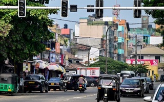 Maymun Shri-Lankada elektr toki o'chishiga sabab bo'ldi