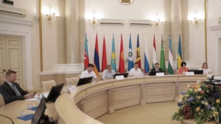 В СНГ будет разработана дорожная карта по развитию взаимодействия в области телемедицины