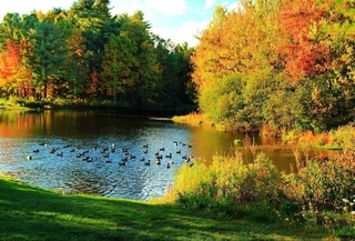 Weather forecast for September 9th