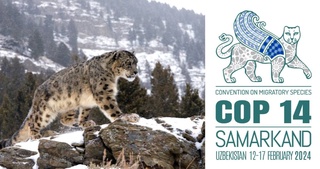 October 23 - International Snow Leopard Day