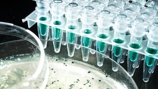 50 миллионов долларов - на модернизацию инновационной системы Узбекистана