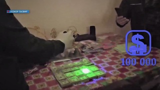 Jizzax davlat pedagogika instituti boʻlim boshligʻi pora bilan qoʻlga tushdi