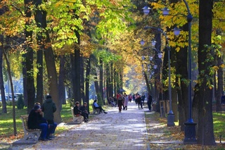 Weather forecast for November 27