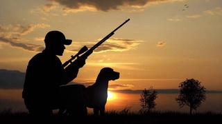 В Узбекистане завершился сезон охоты на диких животных и птиц