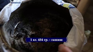 Жойларда гиёҳвандлик воситалари савдосига қарши тезкор тадбирлар ўтказилди