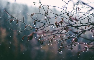 Прогноз погоды на 27 декабря