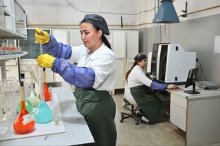 Важное звено в повышении эффективности производства