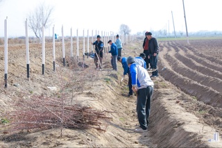 1-апрелге шекем атыз шетлерине егин екпегенлик ушын жәрийма қолланылады