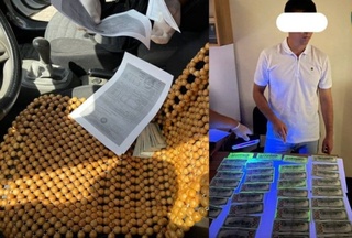 Қирғизистондаги ўқишини кўчиртириб бермоқчи бўлган фирибгар ушланди